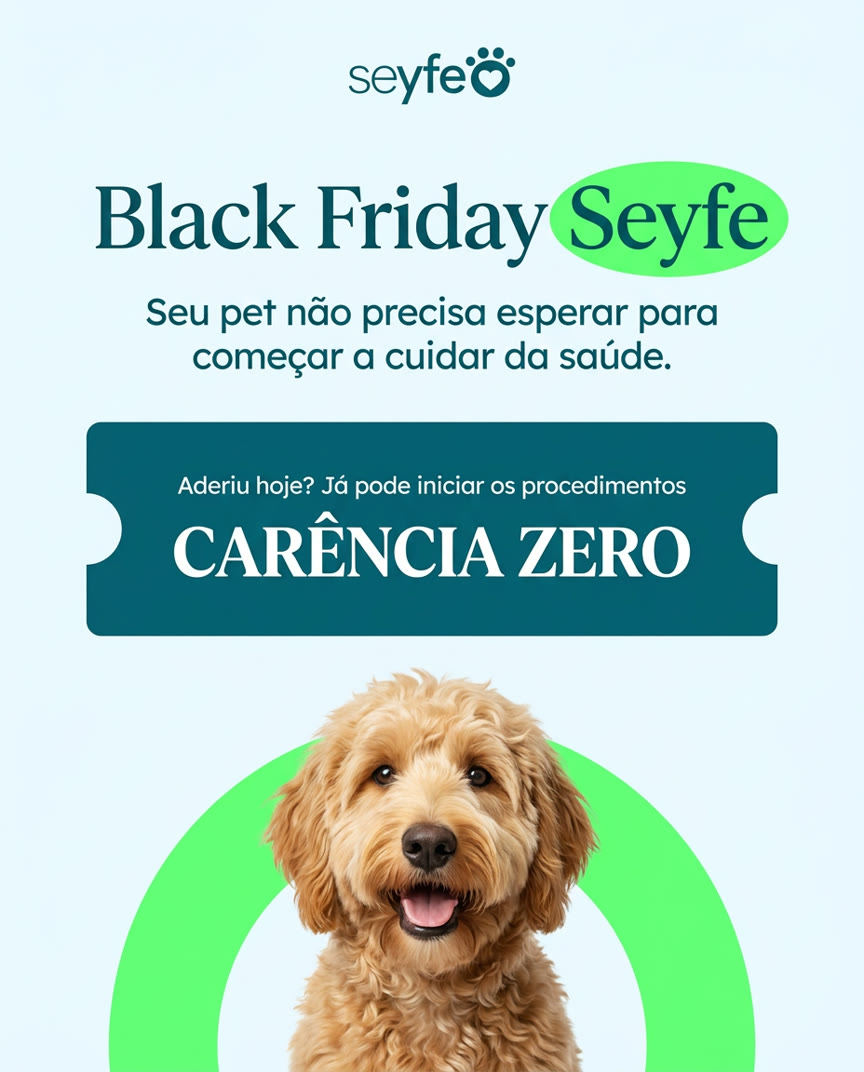 Seyfe: Black Friday